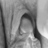 Caress… divine pleasure !_5fe5b41596fce.gif