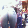 chichona y rica_5fe579f74e287.gif