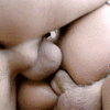 dp gifs_5fe48b6589902.gif