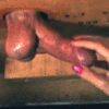 Femdom_5fe58f6e480c5.gif