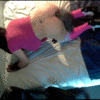 Furry femboy bimbo wags tail_5fe5d53786c3c.gif