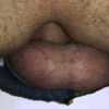 HOT ANIMATED GIFS 3_5fe5f42de6b2c.gif