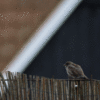 Just for friends…_5fe5b0b96e130.gif