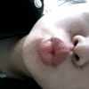 Kiss_5fe5d8f0e1ecc.gif