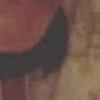Kitty_5fe57c7920871.gif