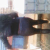 mis novias_5fe57172c3abf.gif