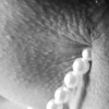 Pearls…._5fe5b5ee1237c.gif