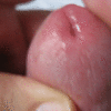 Sandravotz – Eichelspiele eines Sklaven_5fe479580702c.gif