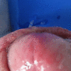 Sandravotz – Herrin entsamt Zuchthengst_5fe4722929e32.gif