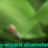 Spontaneous Snail_5fe4ca8d71f73.gif