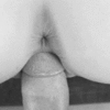 The D style_5fe4c64654543.gif