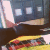 un culito ricoo_5fe5f88a8bc30.gif