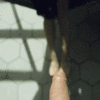 Week22-MCC-GIF_5fe4a512a9ce8.gif