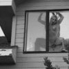 Windows…._5fe5b508bdd33.gif