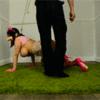 XwgX – What a Nice Lil Piggy_5fe4ba654758a.gif