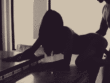 Sex silhouette_6022ea5fd78ab.gif