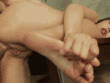 Asian Big Cock Anal Sex_619d369d43021.gif