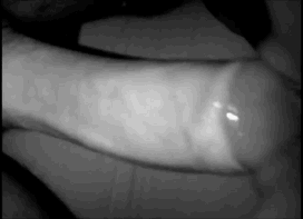 Big Amateur Cock Penetrates Wet Tight Pussy From Behind_619daf0b13cbe.gif