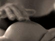 Candy Nipple Gif…_61991312c3cab.gif