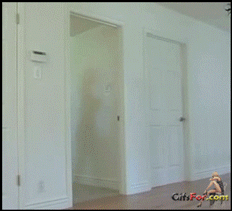 Nude Busty Middle Age Wife Will Make You Cum_61a533e2daf13.gif