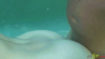 Underwater Deep Penetration…_619d885d925af.gif