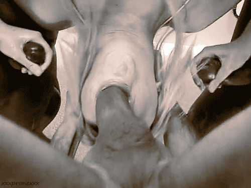 Xxxpronexxx Mouth Meat 6_63b744086858f.gif