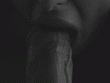 The girl licks the head of the penis_6914c87dda2a6.gif
